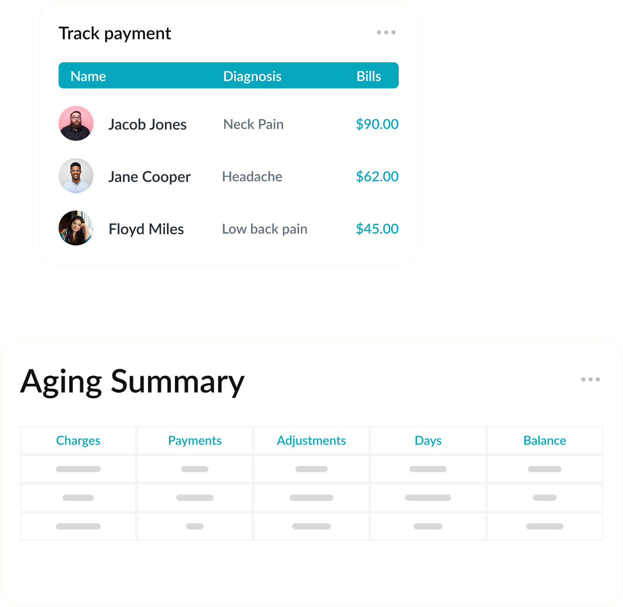 photo of webpt payment tracking with aging summary below